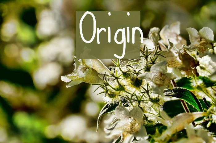 origin客户端字体小origin平台客户端覆盖