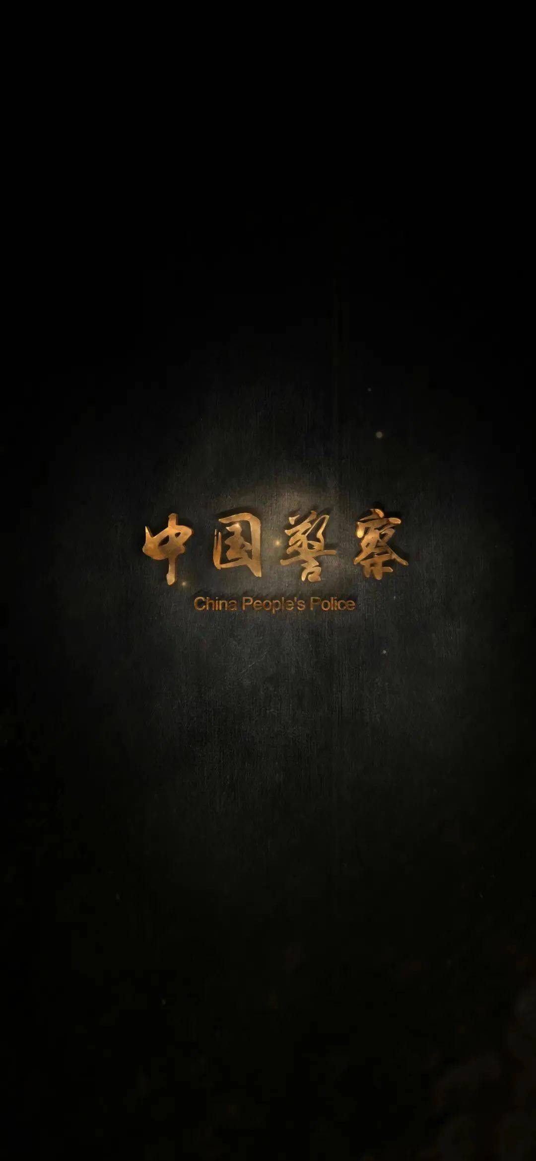 这是警察手机版这就是警察2手机汉化版